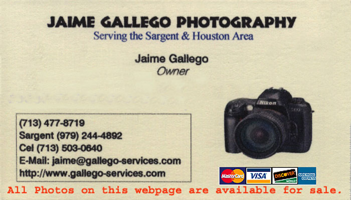 EAdvertisingBusinessCard