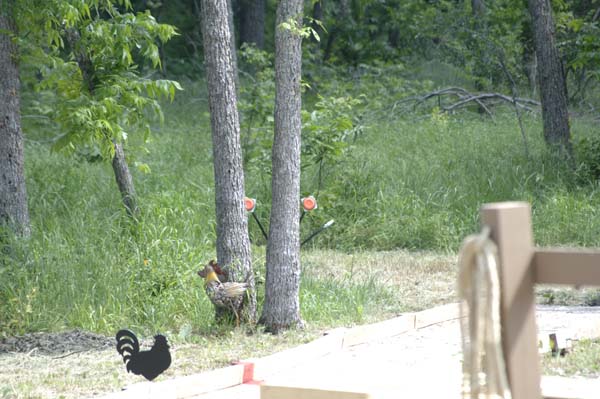 MarkshmanChallenge0207