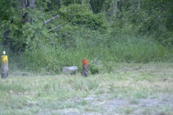 MarkshmanChallenge0220